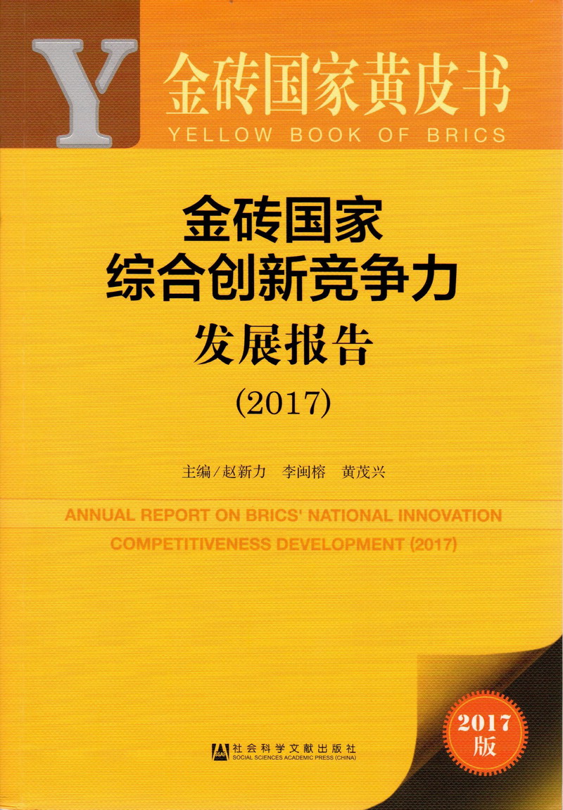 能看操逼的网站金砖国家综合创新竞争力发展报告（2017）